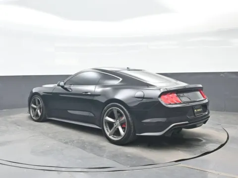 More photos of 2019 Ford Mustang Bullitt at Bob Mills Chevrolet, SC