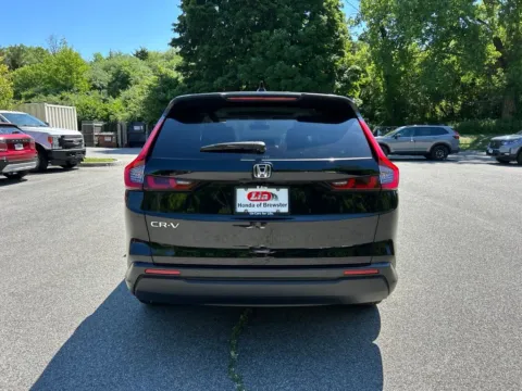 More photos of 2024 Honda CR-V EX-L at Lia Honda Brewster, NY