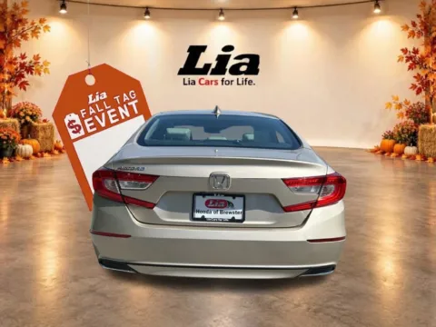 More photos of 2019 Honda Accord EX-L at Lia Honda Brewster, NY