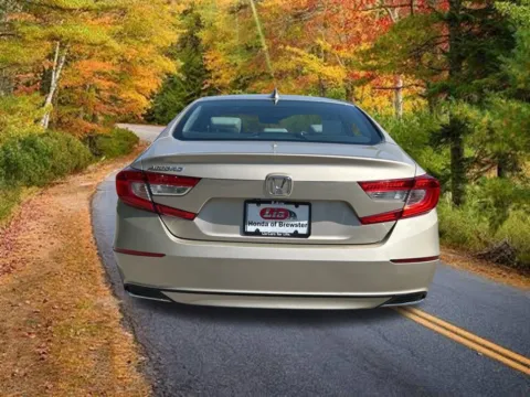 More photos of 2019 Honda Accord EX-L at Lia Honda Brewster, NY