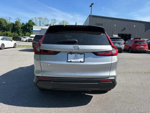 More photos of 2024 Honda CR-V EX-L at Lia Honda Brewster, NY
