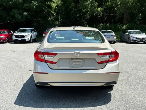 More photos of 2019 Honda Accord EX-L at Lia Honda Brewster, NY