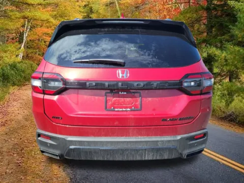 More photos of 2026 Honda Pilot Black Edition at Lia Honda Brewster, NY