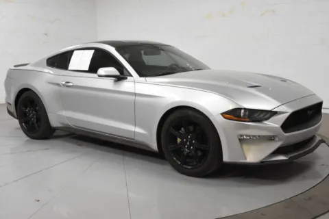 Silver 2019 Ford Mustang EcoBoost for sale in McAllen, TX