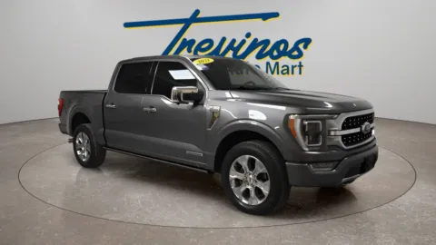 Gray 2021 Ford F-150 Platinum for sale in McAllen, TX