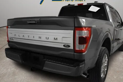 Another view of 2021 Ford F-150 Platinum for sale in McAllen, TX at Trevinos Auto Mart