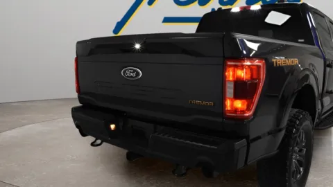 Another view of 2022 Ford F-150 Tremor for sale in McAllen, TX at Trevinos Auto Mart