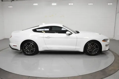 More photos of 2021 Ford Mustang EcoBoost at Trevinos Auto Mart, TX