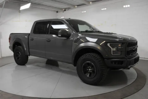 Gray 2018 Ford F-150 Raptor for sale in McAllen, TX