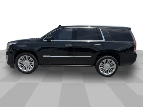 More photos of 2019 Cadillac Escalade Platinum Edition at Step One Ford Crestview, FL