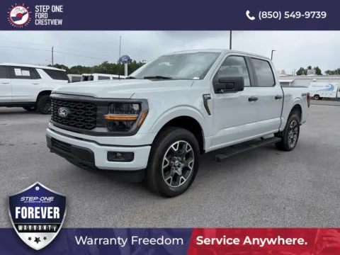Gray 2024 Ford F-150 STX for sale in Crestview, FL