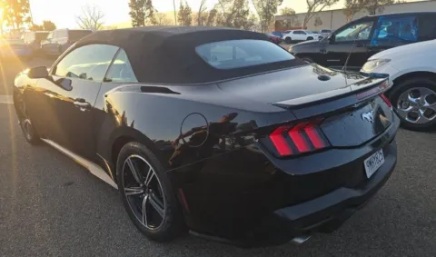 More photos of 2024 Ford Mustang EcoBoost Premium at RightDrive - 6930 Alameda, TX