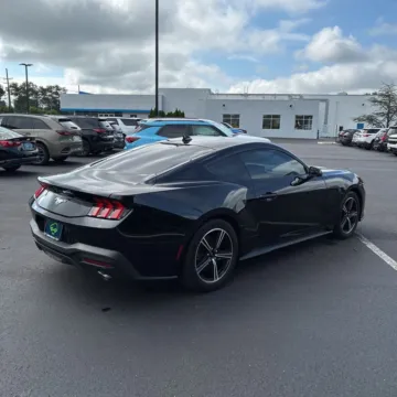 More photos of 2024 Ford Mustang EcoBoost at RightDrive - 6930 Alameda, TX