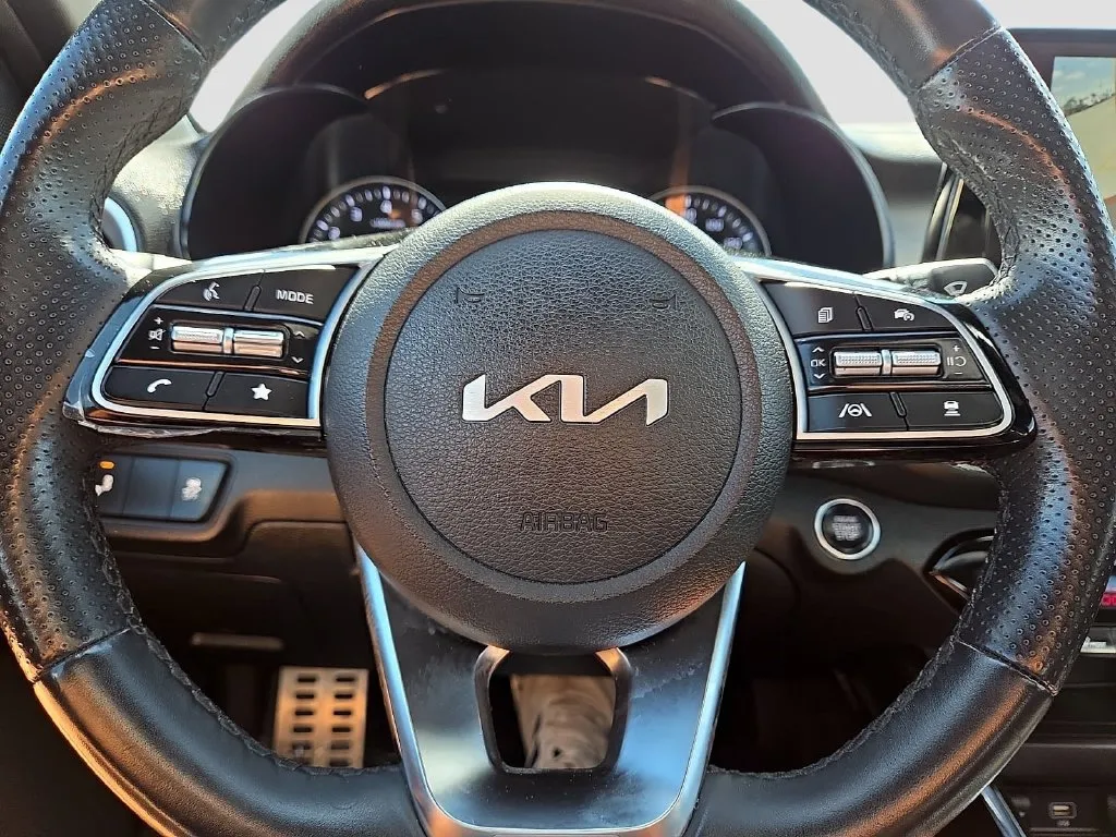 Kia Forte photo 24