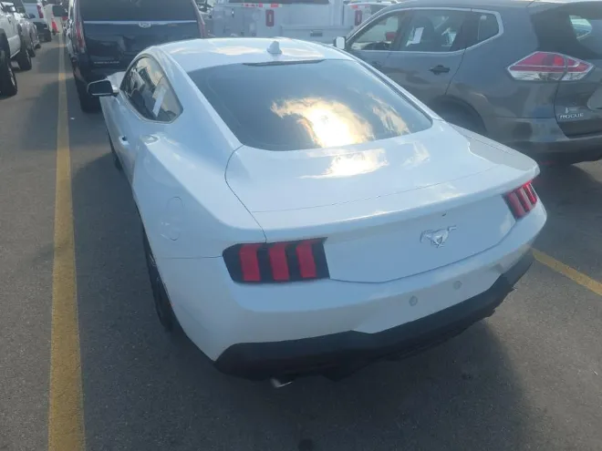 Ford Mustang photo 5