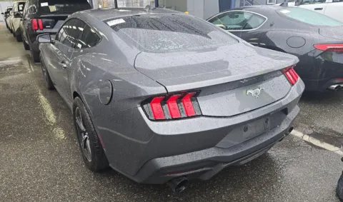 More photos of 2024 Ford Mustang EcoBoost at RightDrive - 6930 Alameda, TX