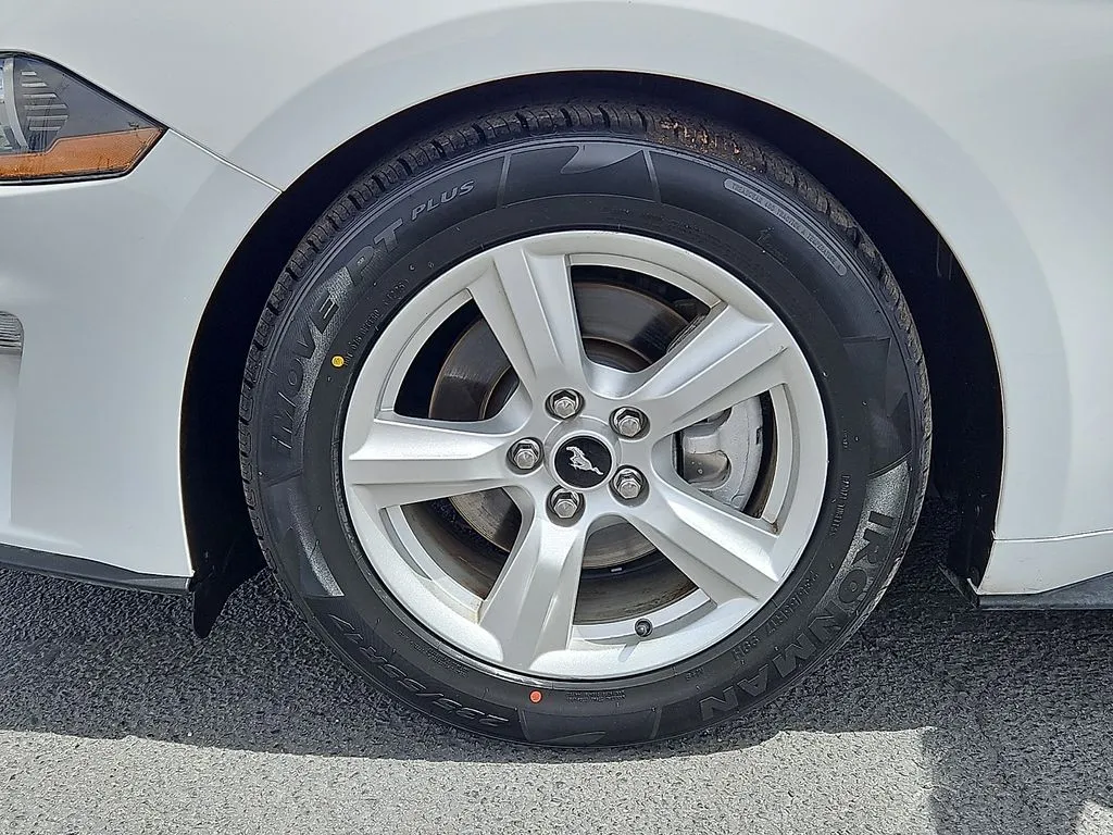 2019 Ford Mustang EcoBoost - Photo 9