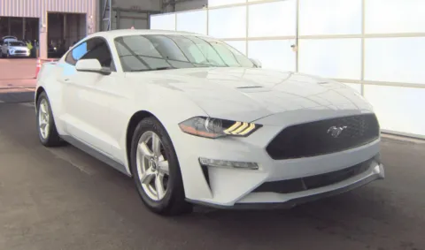 More photos of 2019 Ford Mustang EcoBoost at RightDrive - 7320 Alameda, TX