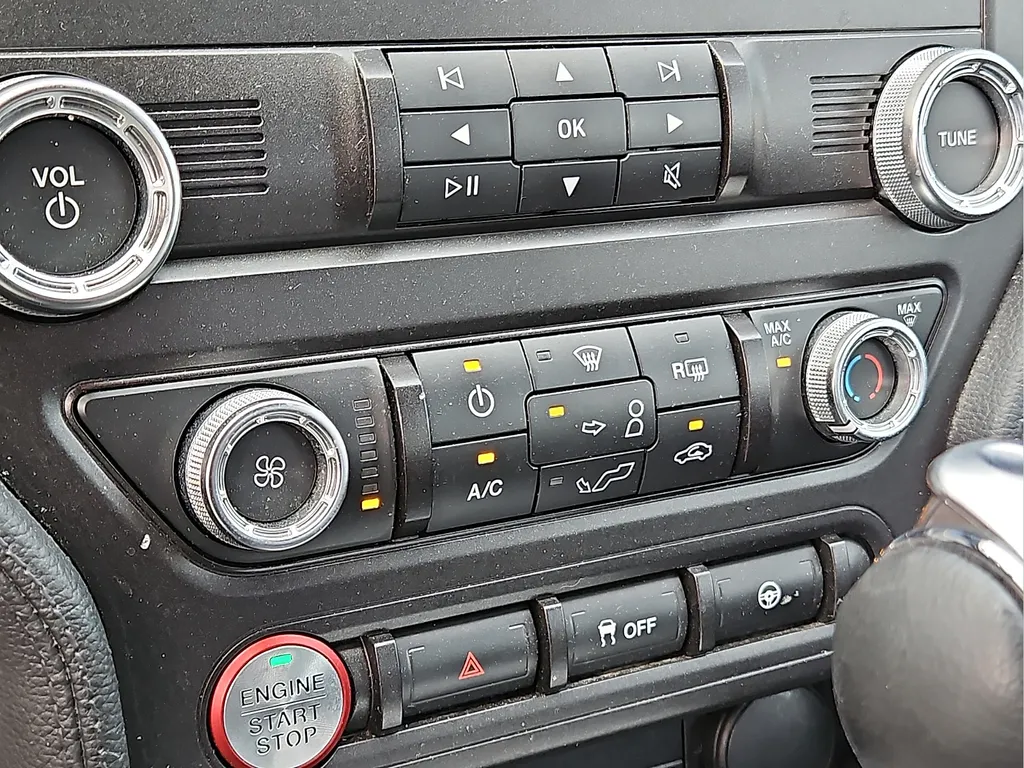 2019 Ford Mustang EcoBoost - Photo 21