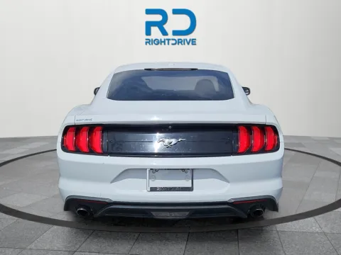 More photos of 2019 Ford Mustang EcoBoost at RightDrive - 7320 Alameda, TX