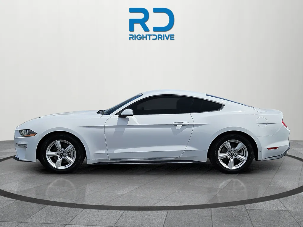2019 Ford Mustang EcoBoost - Photo 6