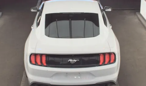 More photos of 2019 Ford Mustang EcoBoost at RightDrive - 7320 Alameda, TX