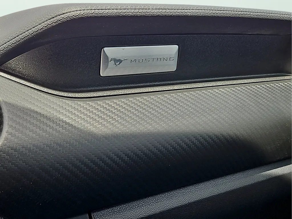 2019 Ford Mustang EcoBoost - Photo 24
