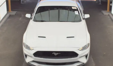 Photos of 2019 Ford Mustang EcoBoost for sale in El Paso, TX at RightDrive - 7320 Alameda