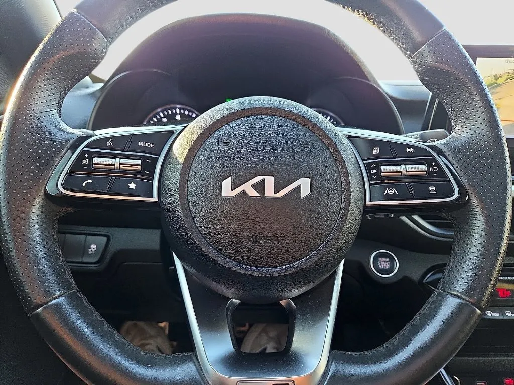 Kia Forte photo 24