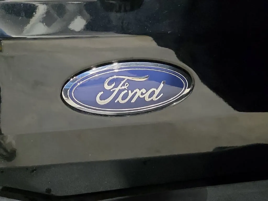 Ford Bronco photo 12