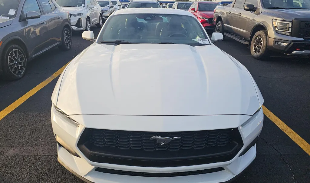 Ford Mustang photo 2