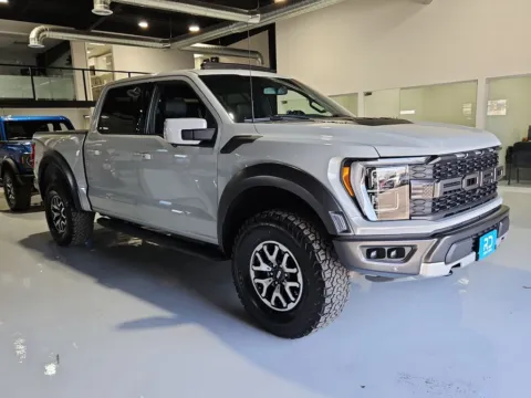 Gray 2023 Ford F-150 Raptor for sale in El Paso, TX