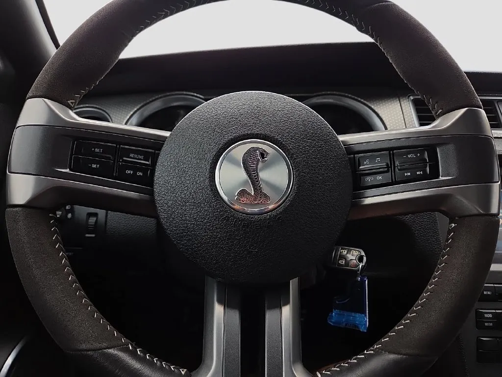 Ford Mustang photo 24