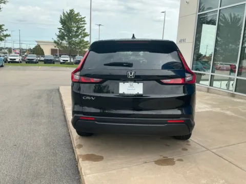 More photos of 2024 Honda CR-V EX at Lia Honda Williamsville, NY
