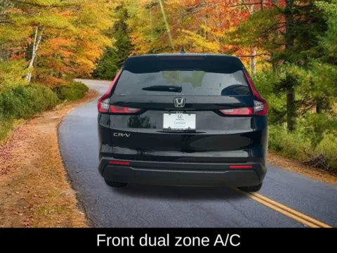More photos of 2024 Honda CR-V EX at Lia Honda Williamsville, NY