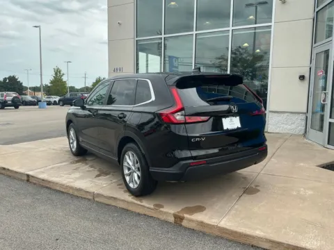 More photos of 2024 Honda CR-V EX at Lia Honda Williamsville, NY