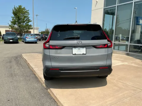 More photos of 2024 Honda CR-V EX-L at Lia Honda Williamsville, NY