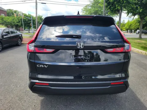 More photos of 2026 Honda CR-V EX at Lia Honda Williamsville, NY