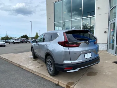 More photos of 2022 Honda CR-V EX at Lia Honda Williamsville, NY