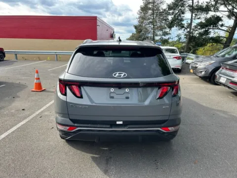 More photos of 2024 Hyundai Tucson SEL at Lia Hyundai Albany, NY