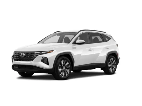 White 2022 Hyundai Tucson Hybrid Blue for sale in Albany, NY