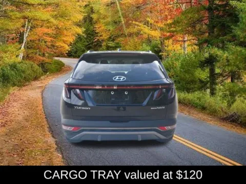 More photos of 2024 Hyundai Tucson Hybrid Limited at Lia Nissan of Saratoga, NY