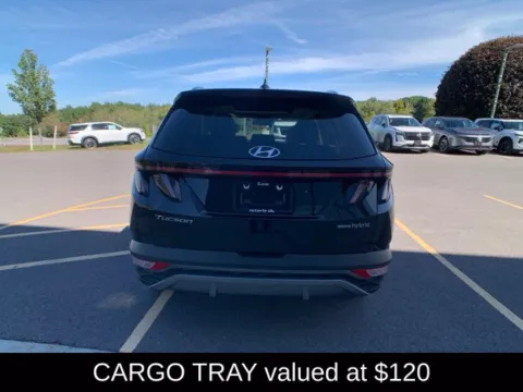 More photos of 2024 Hyundai Tucson Hybrid Limited at Lia Nissan of Saratoga, NY