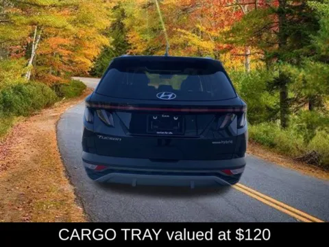 More photos of 2024 Hyundai Tucson Hybrid Limited at Lia Nissan of Saratoga, NY
