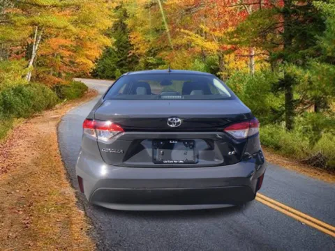 More photos of 2024 Toyota Corolla LE at Lia Toyota of Colonie, NY