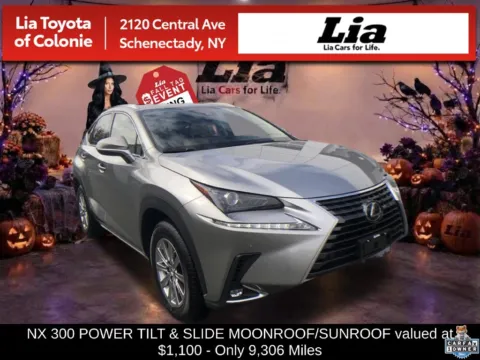 Silver 2021 Lexus NX 300 Base for sale in Schenectady, NY