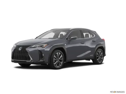 Gray 2020 Lexus UX 250h Luxury for sale in Schenectady, NY