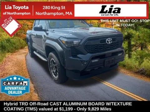 Gray 2025 Toyota Tacoma Hybrid TRD Off Road for sale in Northampton, MA