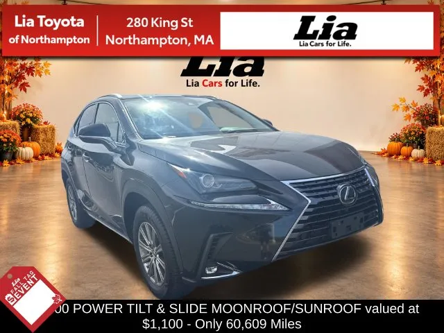 2020 Lexus NX