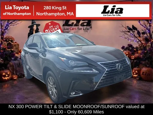 2020 Lexus NX